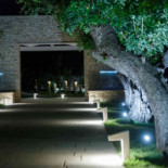 Casale Cisternino Nourriture