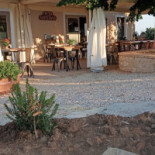 Osteria Novecento food