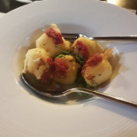 Bolla Concept Food Comida