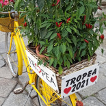 Porta Vaticana Extérieur