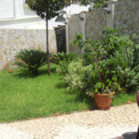 Aphrodite Comida