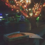 Pizza Scilla Comida