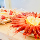 Fish Show Comida