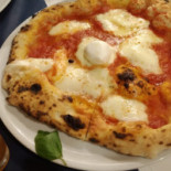 Offline Cibo