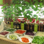 Olivo Comida