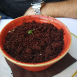 Alla Speranza Nourriture