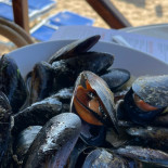 Geco Beach Castellabate Carte
