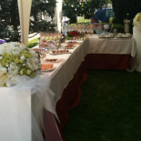 Ilva Comida