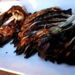 Pescecotto Nourriture