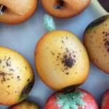 Pasticceria De Mitri Nourriture