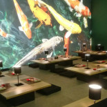 Koi Comida