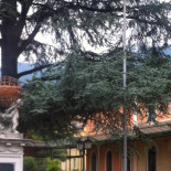 Caffè Casinò À l'intérieur