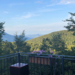 Albergo Bertocchi Comida