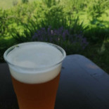 White Dog Beer Comida