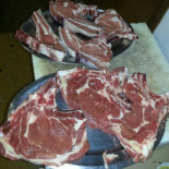 Ragno Rosso Comida