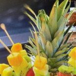 Garden Comida