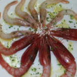Nautilus Nourriture