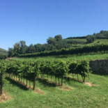 Enoteca Del Soave Comida