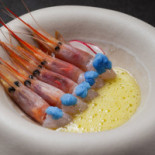 Seta Sushi Comida