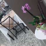 Pizzeria La Fenice Innen