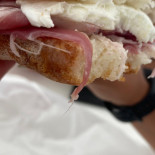 Lattai Ponticorvo Comida