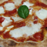 Cassiopea Comida