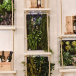 La Casina Nourriture