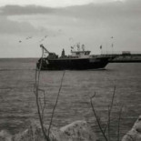 Tirrena Dentro