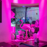Flamingo Cafe Nourriture