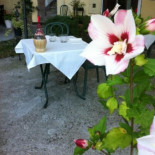 Osteria Perbacco food