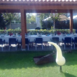 Tosa Extérieur