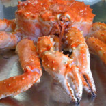 Osteria Melograno Comida