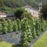 Locanda Solagna Comida