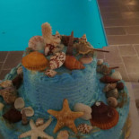 Viii Talento Nourriture