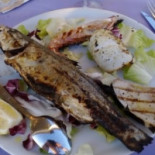 L'arca Food