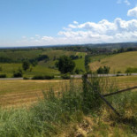 Il Cavallino Nourriture