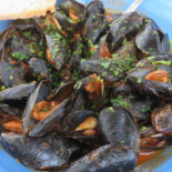 Salus Nourriture