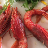 Prestige Lido Nazioni food