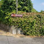 Le Sciarelle Dentro