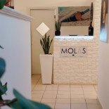 Molas Nourriture