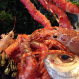 La Colubrina Cibo