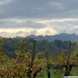 Osteria Di Collalbrigo food