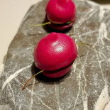 Terra Nourriture