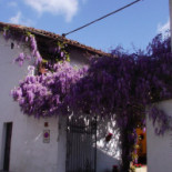 Trattoria Dei Platani Nourriture