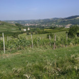 Le Due Cascine Agriturismo food