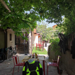 Vecchio Castagno À l'intérieur