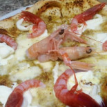 Tody Pizzeria Comida