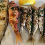 Volpin Food