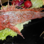 Acquasala Comida