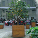 Quinoa À l'intérieur